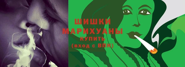 2c-b Пестово