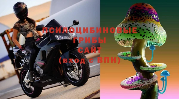2c-b Пестово