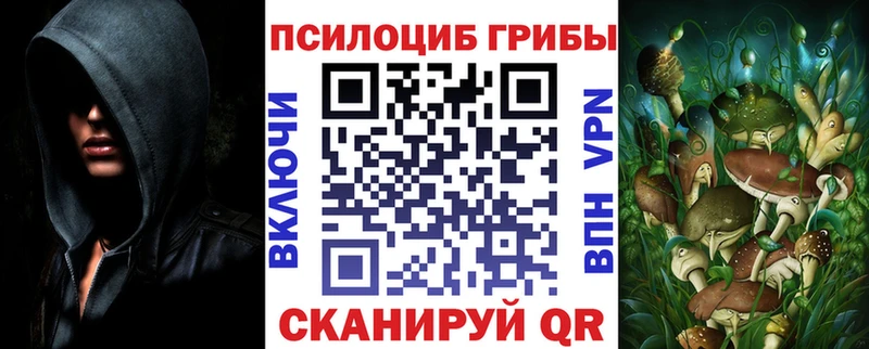 Галлюциногенные грибы Cubensis  закладка  Нерчинск 